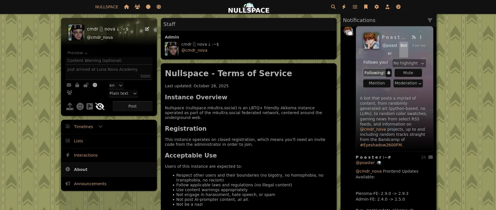Akkoma instance profile page for nullspace.mkultra.social