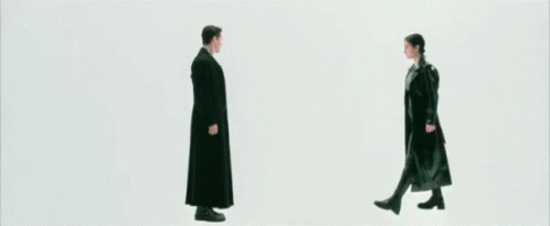 an animated gif from the scene in The Matrix where Neo and Trinity are in a blank white room, and infinite racks of guns race up to them.